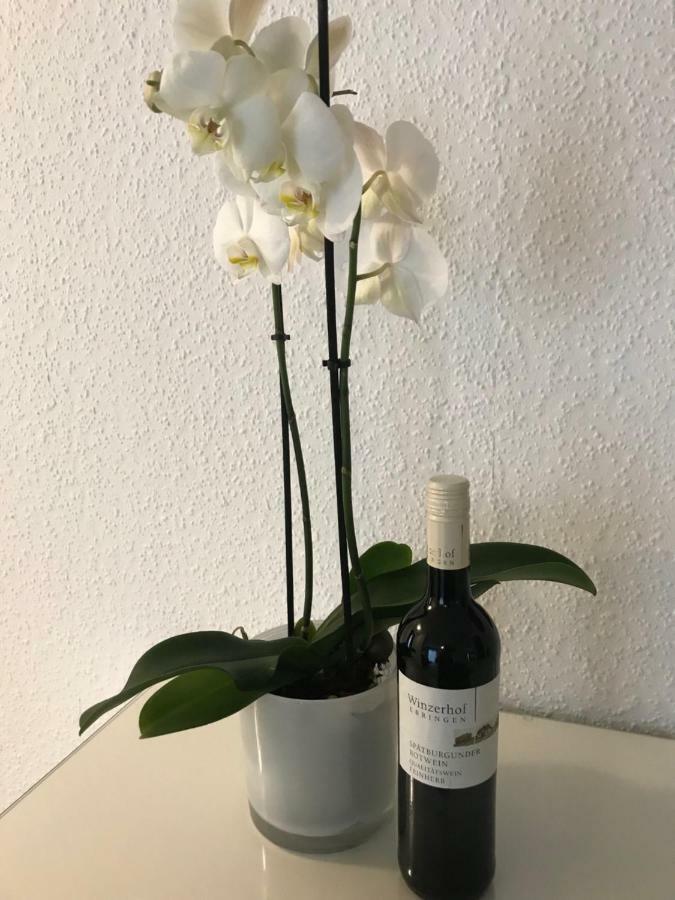 Ferienwohnung Gasser Ebringen Kültér fotó